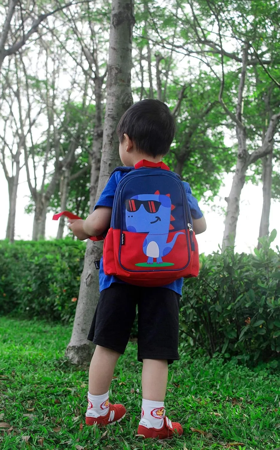Kids Toddler Preschool Travel Backpack Cool Cute Cartoon Waterproof Daypack (Dinosaur Red)