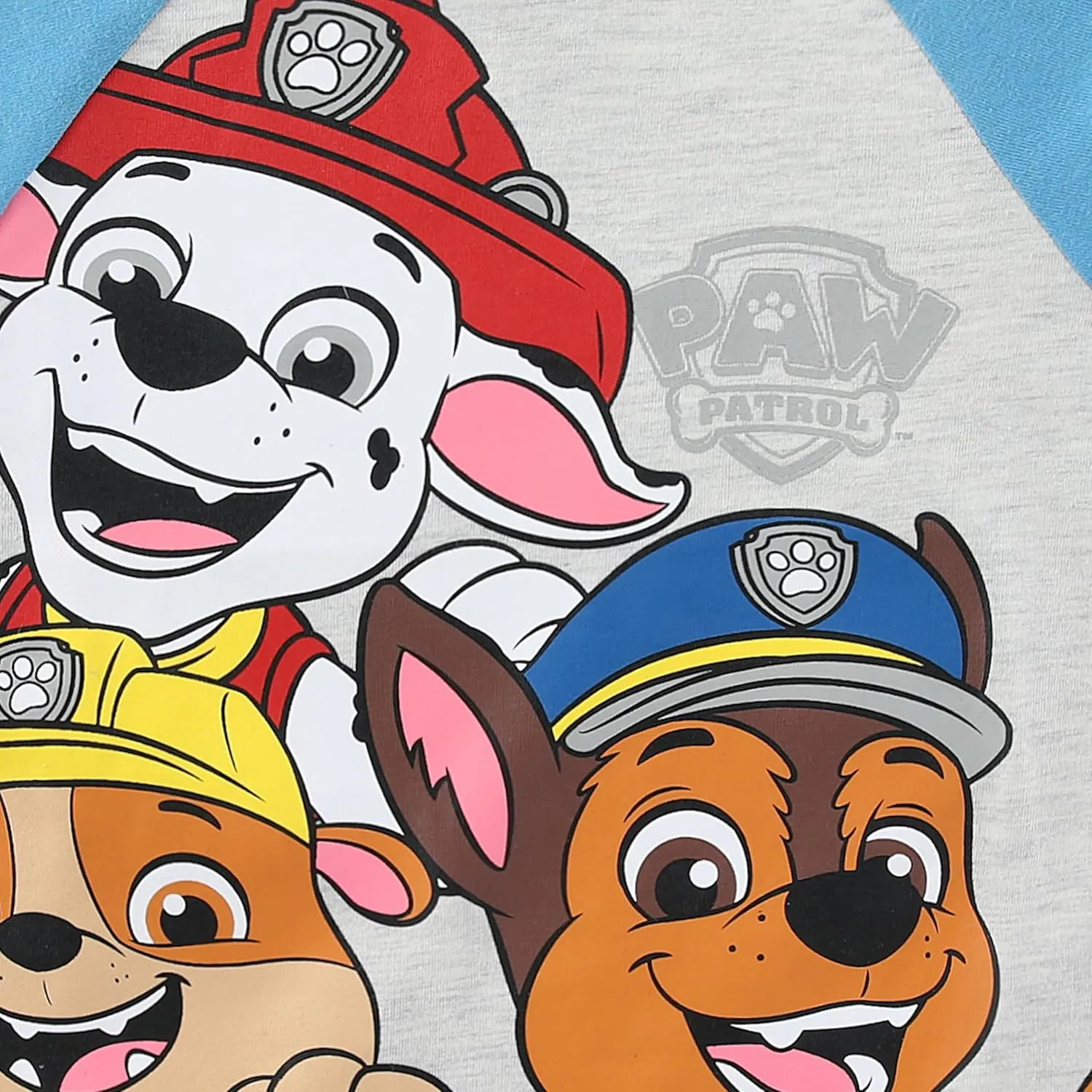 Paw Patrol Nickelodeon Boys Short Sleeve T-Shirt and French Terry Shorts Set for Toddler and Big Kids