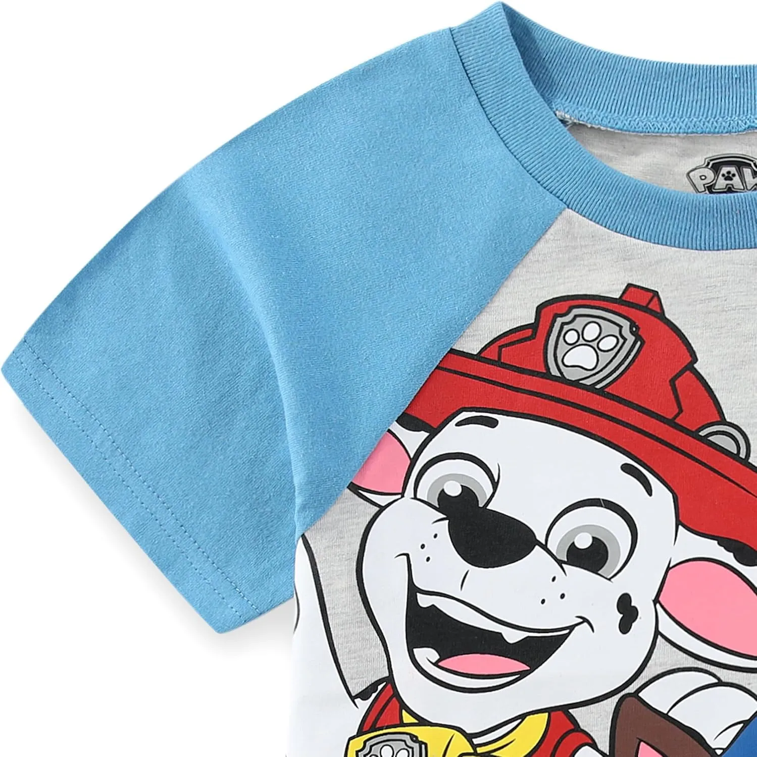 Paw Patrol Nickelodeon Boys Short Sleeve T-Shirt and French Terry Shorts Set for Toddler and Big Kids