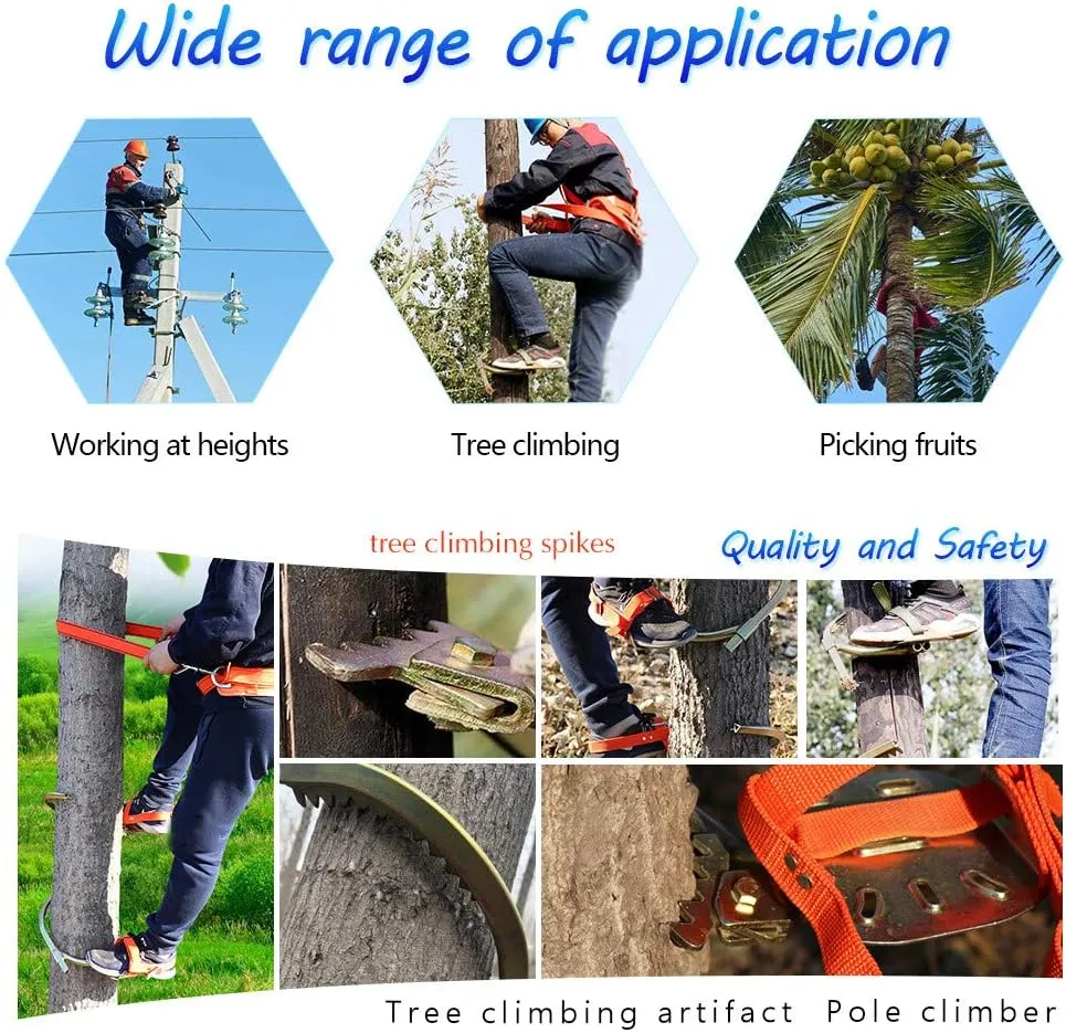Pole Climbing Spikes, Professional Stainless Steel Tree Climbing Gear Kit with Safe Belt, Tree Climbing Spikes for Hunting Observation, Picking Fruit, Coconut, Simple to Use,400model