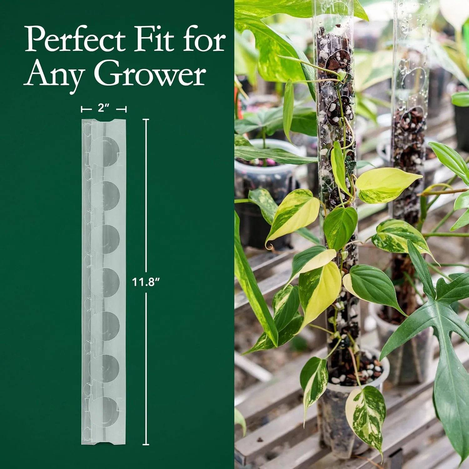 V3 Small GrowPole - Front Opening, Stackable Plastic Moss Poles for Climbing Plants, Monstera Plant Support-Plant Climbing Pole, DIY Plant Support, Works for Philodendron & Anthuriums - 10 Pcs