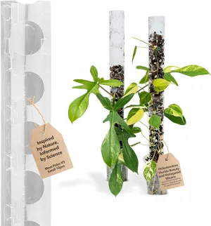 V3 Small GrowPole - Front Opening, Stackable Plastic Moss Poles for Climbing Plants, Monstera Plant Support-Plant Climbing Pole, DIY Plant Support, Works for Philodendron & Anthuriums - 10 Pcs